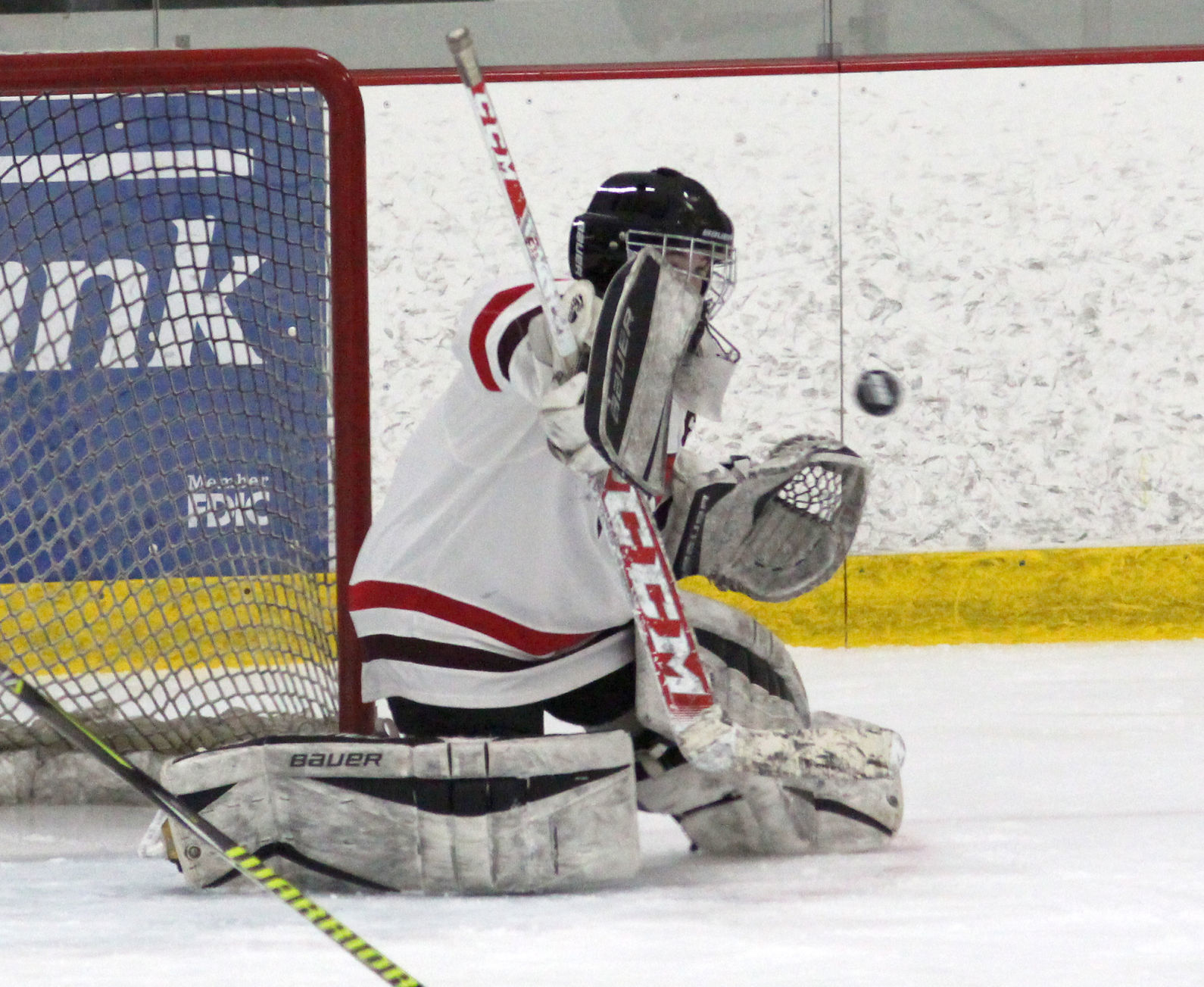 Hayward at Chippewa Falls/Menomonie girls hockey 2-20-20